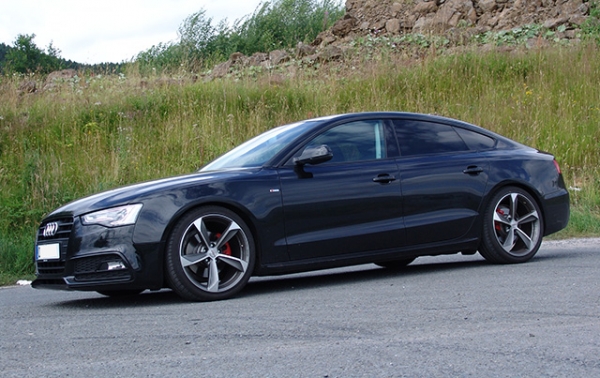 Eibach Sportline Tieferlegung Gewindefedern E21-GFA5-2 für Audi A5 (8T/B8)